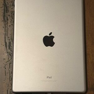 Apple iPad in Silver Back Panel